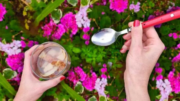 Se vuoi un giardino pieno di fiori che tutti invidieranno, devi farlo