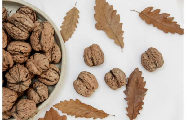 Smetti di buttare via i gusci di noce: puoi riutilizzarli in modi ingegnosi!