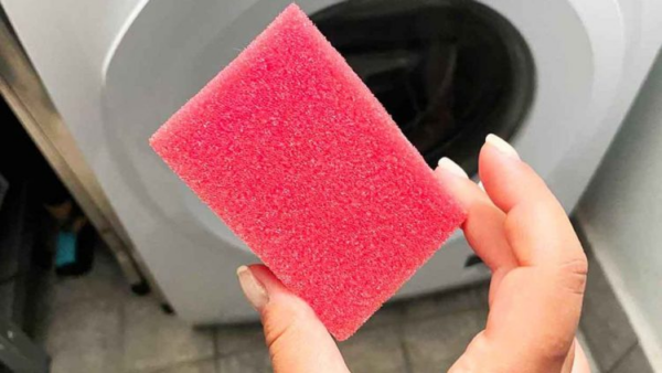 Suggerimento straordinario per pulire il cestello della lavatrice con una spugna