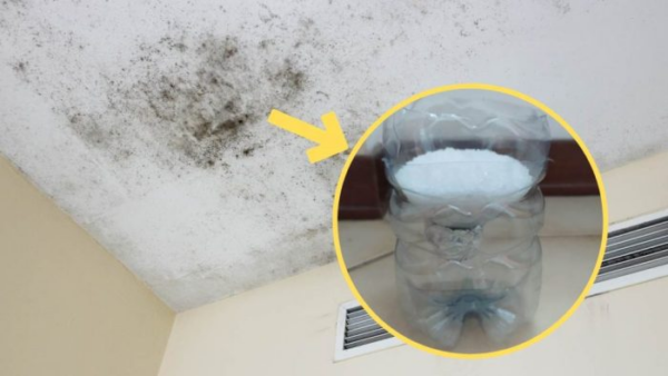 Umidità in casa tua, con il metodo in bottiglia puoi risolvere facilmente il problema