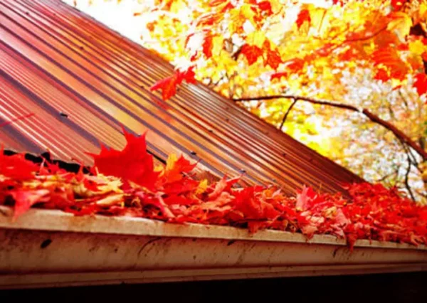 Un consiglio pratico per non dover più rimuovere le foglie dalle grondaie