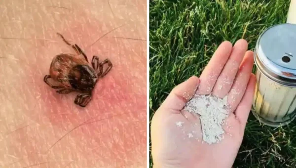 Un rimedio naturale per eliminare le zecche in giardino: basta spruzzarlo sulle piante!