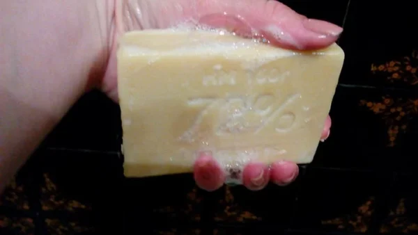 Uso il sapone da bucato in giardino.