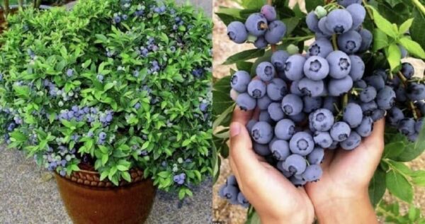 Venite a casa mia per creare una storia infinita nel corso dell’anno