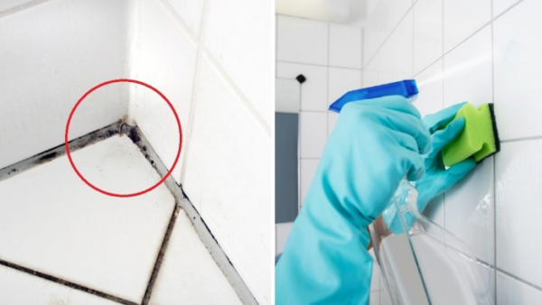 il modo infallibile per rimuovere muffe, calcare e sapone dalle piastrelle del bagno