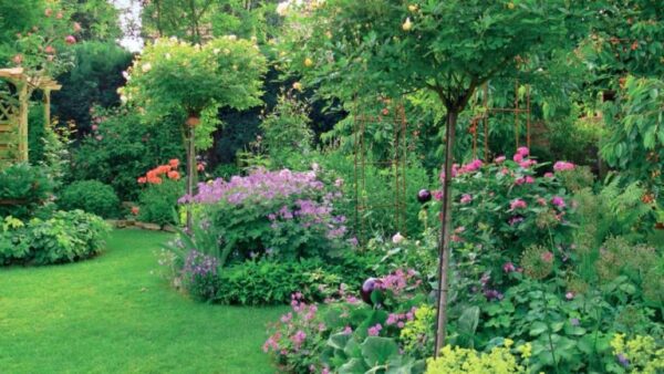 10 dicas profissionais para um jardim de sucesso