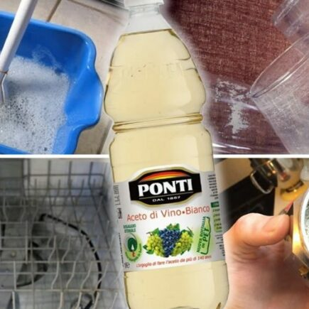 10 usos do vinagre para limpar a casa inteira