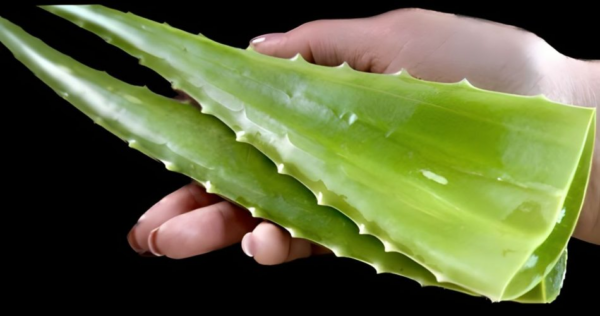 100 vezes melhor que o botox – o melhor colágeno que firma instantaneamente a pele