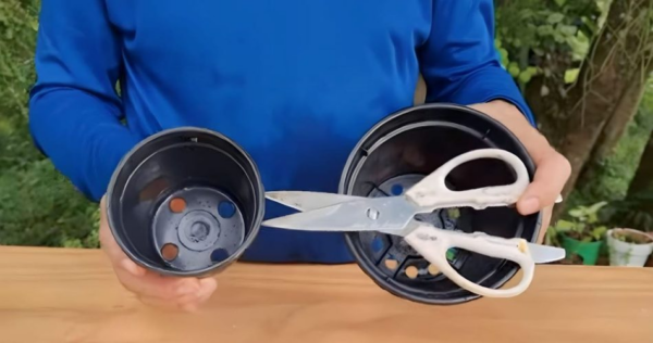 2 vasos de plantas antigos e uma tesoura criarão algo nunca visto antes