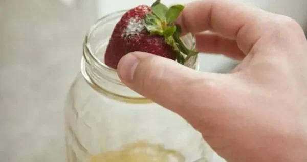 4 armadilhas que você pode fazer em casa para destruir moscas