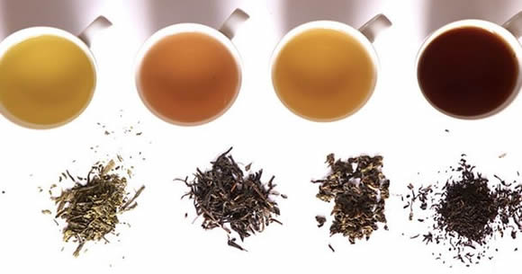 4 chás de ervas naturais para perder peso