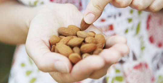 4 tipos de frutas secas para perder peso