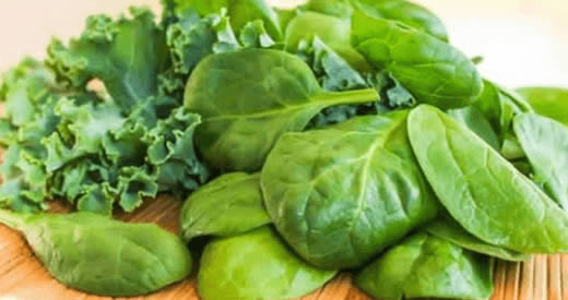 5 alimentos ricos em cálcio para substituir o leite