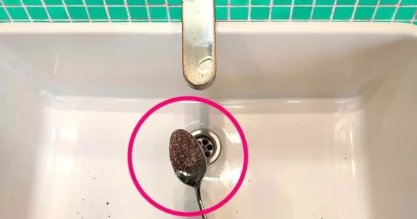 5 dicas práticas e econômicas para eliminar cheiro de esgoto do banheiro