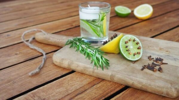 5 plantas anti-mosquitos naturais e eficazes