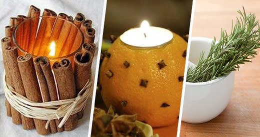 6 aromas que curam