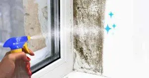 6 dicas para remover mofo em janelas uPVC