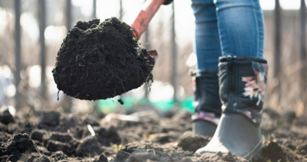 6 ideias para melhorar o solo do seu jardim