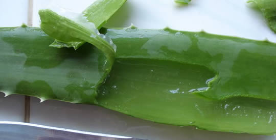 7 coisas que acontecem se você comer aloe vera todos os dias
