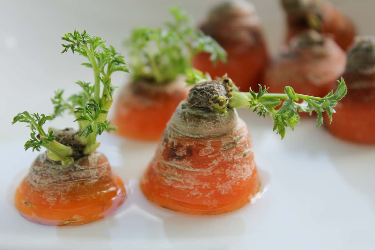 8 alimentos que podem crescer novamente a partir do topo - 65