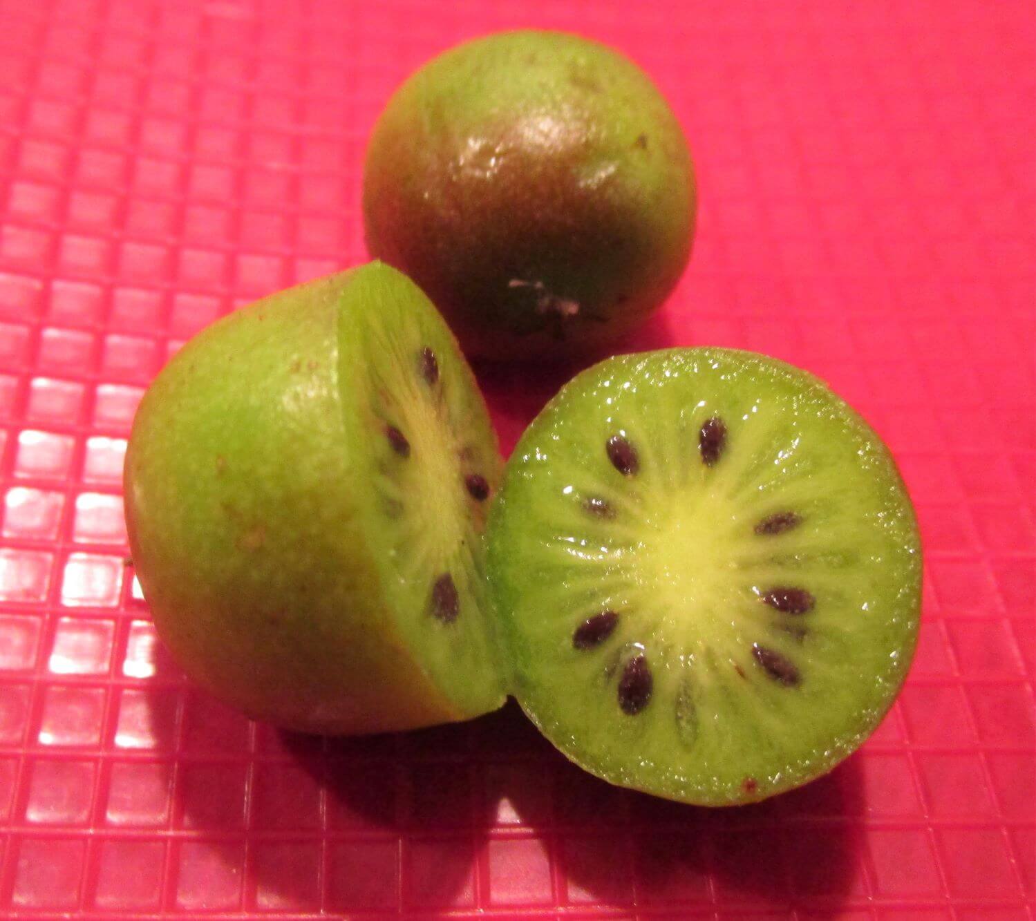 8 alimentos comestíveis que podem crescer novamente a partir do topo - 67