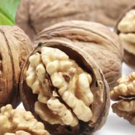 8 nozes por dia podem salvar nossas vidas, evitando o espessamento das artérias e doenças cardíacas