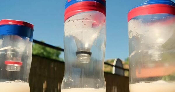 A armadilha infalível e gratuita para capturar mosquitos e insetos que invadem sua casa