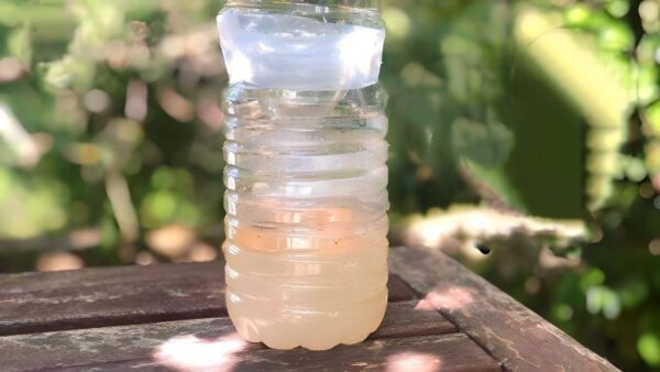 A armadilha infalível para se livrar das moscas de sua casa – você não verá nenhuma por aí