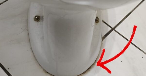 A base das louças sanitárias é preta? Descubra o remédio infalível para fazê-la brilhar!