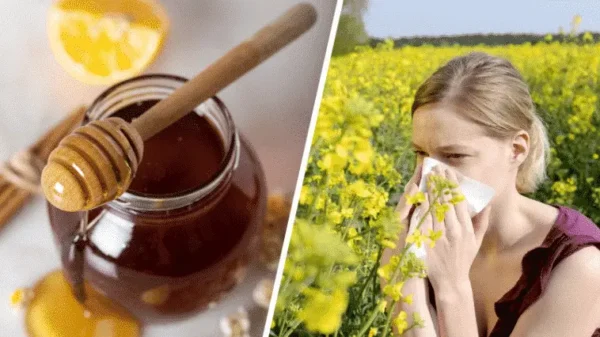 A cura do mel para dessensibilizar as alergias ao pólen: verdadeiro ou falso