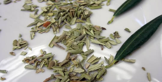 A folha que cura infecções, diabetes, câncer, resfriados e gripes