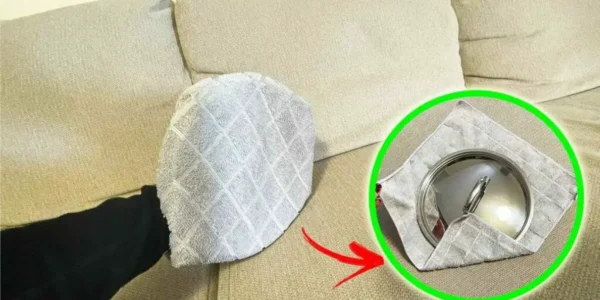 A maneira mais eficaz de limpar o sofá com capa e pano é a seguinte