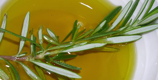 A planta que alivia dores nas articulações, regenera ossos e melhora a memória em 80%