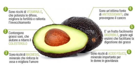 Abacate: a fruta que pode substituir a carne, prevenir o Alzheimer e aumentar as defesas