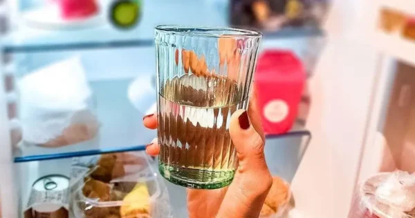 Acabaram-se os odores e odores desagradáveis ​​do frigorífico: mantém-no limpo e perfumado durante muito tempo