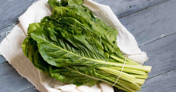 Acelga: queima gordura, reduz a pressão arterial, elimina a prisão de ventre e fortalece os ossos