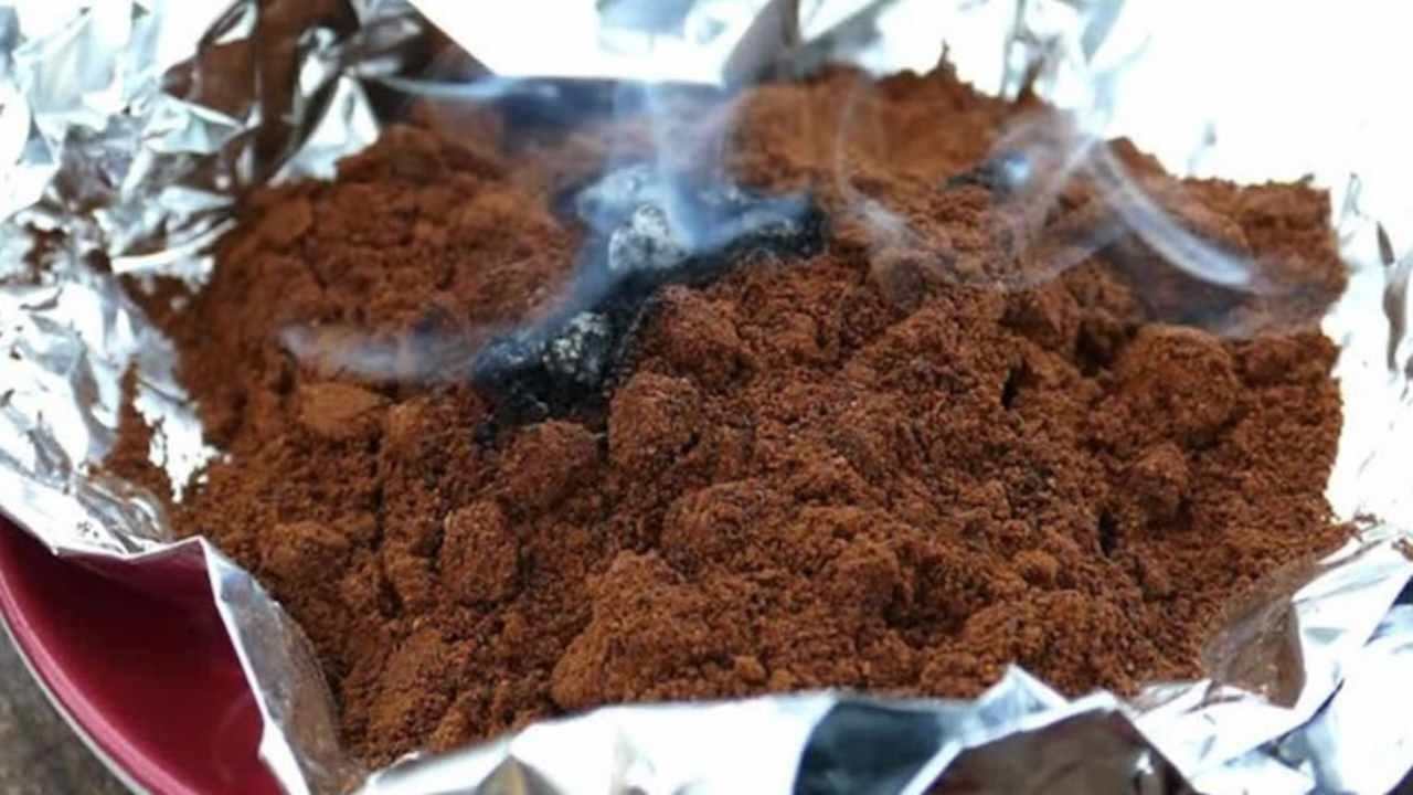 Adeus aos mosquitos com este remédio natural