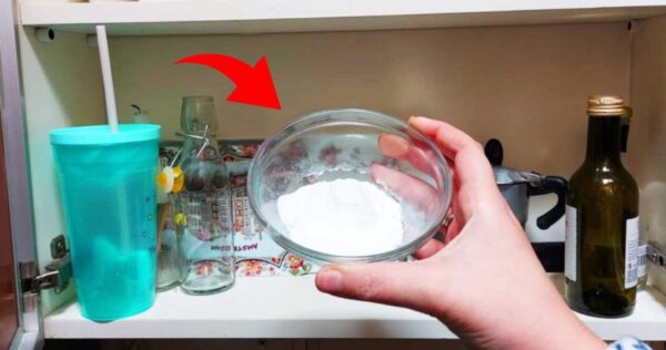 Adeus umidade em gavetas e armários, como resolver num instante