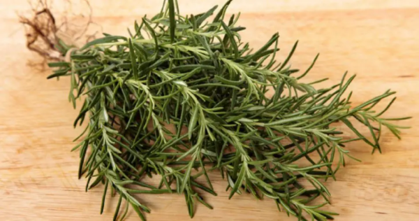 Alecrim: Vou revelar a dica para guardar por um ano inteiro! Sempre fresco!