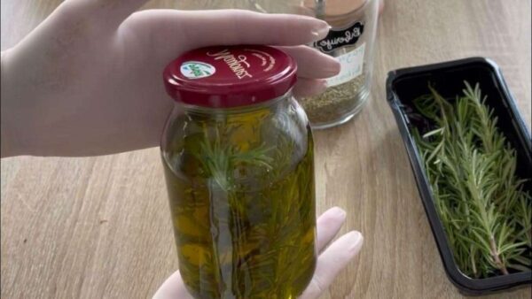 Alecrim com azeite no copo: um preparo maravilhoso que vai te surpreender