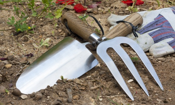 Algumas dicas para eliminar ervas daninhas