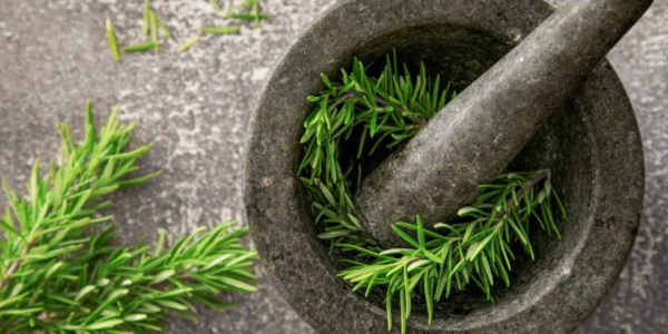 Além de aromatizar óleo e sal, experimente hoje usar o alecrim destas 7 formas muito eficazes. Você não conseguirá mais ficar sem ele!