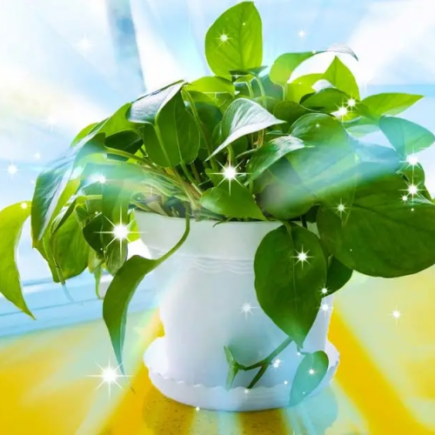 As 7 plantas mais poluentes de acordo com a NASA