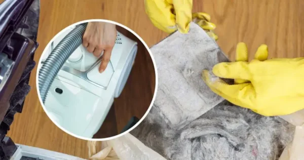 Aspirador de pó, clique neste botão para aspirar mais poeira: zero sujeira na casa