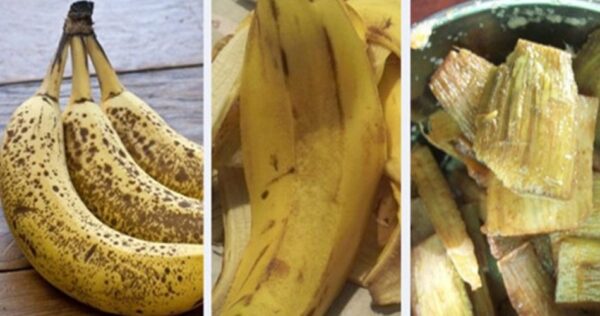 Bananas: Nunca jogue esta parte fora. Use assim! Vale seu peso em ouro