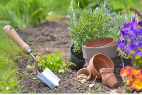 Bicarbonato na jardinagem: 7 métodos infalíveis para cuidar do verde!