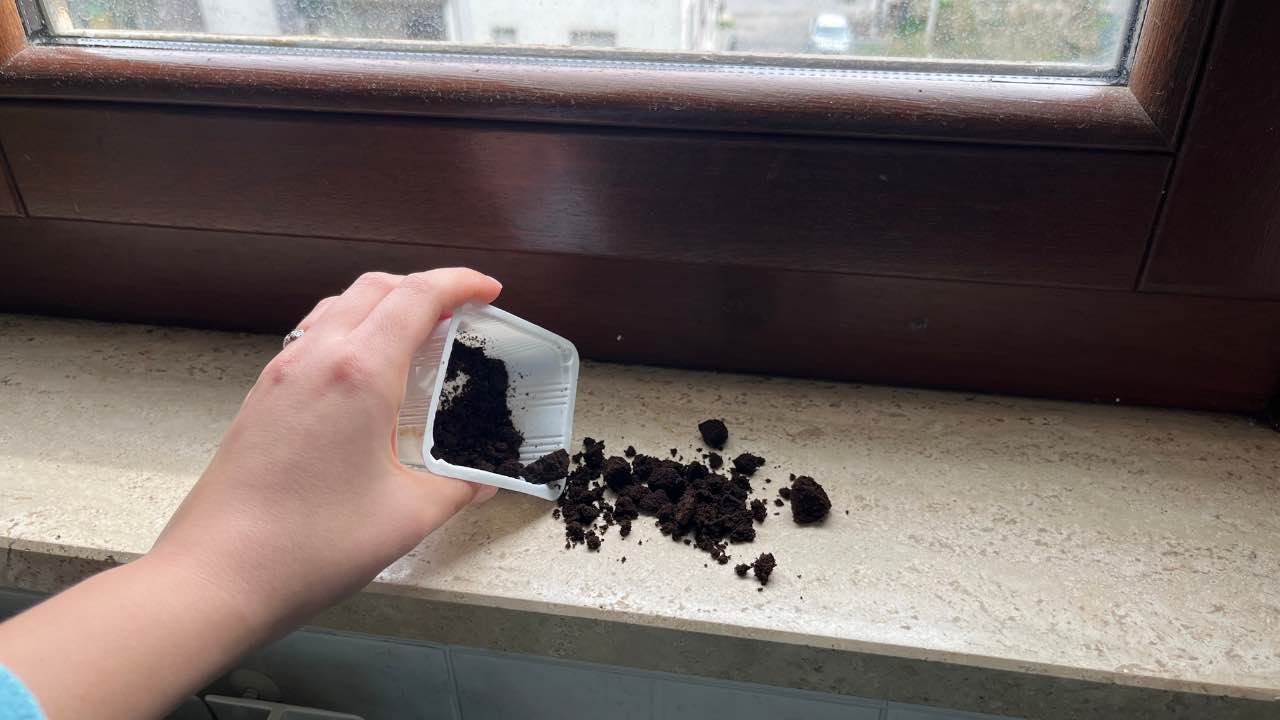 fundos no peitoril da janela