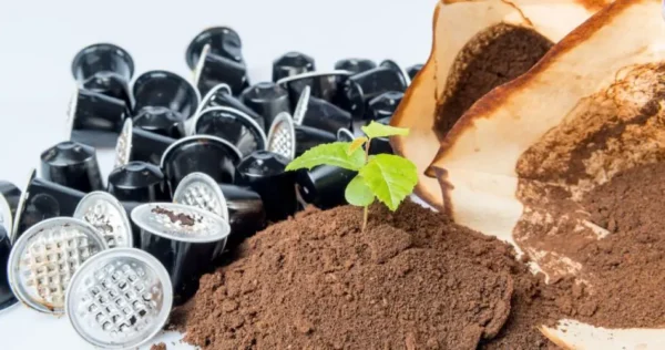 Borra de café, um aliado inesperado. Descubra 8 usos surpreendentes!