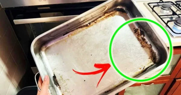 COMO LIMPAR E POLIR BANDEJAS INCRUSTAS DE ALIMENTOS COM 6 REMÉDIOS NATURAIS