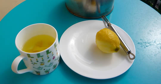 Canário: o digestivo e antiinflamatório natural das nossas avós